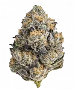 Purple Churro, kimyasal limon aroması ve yüksek THC içeriğiyle öne çıkan dengeli bir hibrit türdür. Eşsiz aromasını ve etkilerini keşfedin.