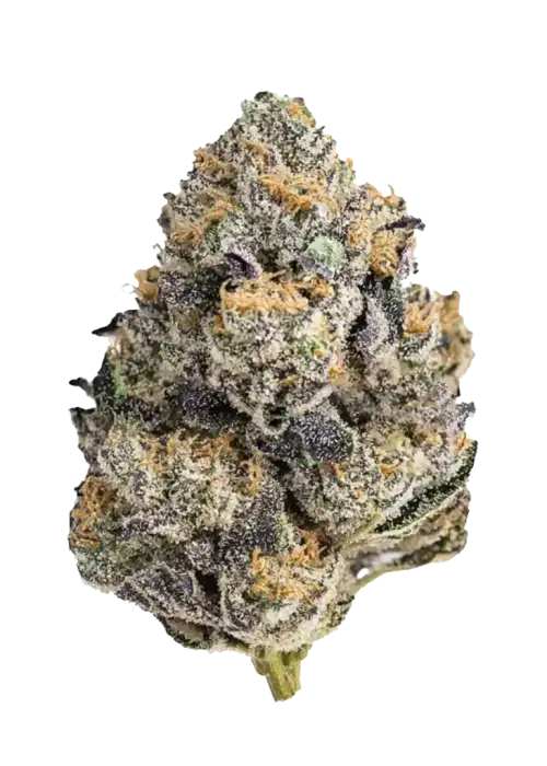 Purple Churro, kimyasal limon aroması ve yüksek THC içeriğiyle öne çıkan dengeli bir hibrit türdür. Eşsiz aromasını ve etkilerini keşfedin.
