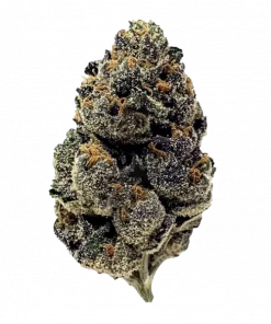 Purple Cream, tatlı meyve aromaları ve rahatlatıcı etkileriyle bilinen dengeli bir hibrit türdür. Düşük THC seviyesiyle ideal bir seçim. Özelliklerini keşfedin.