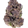 Purple Diesel, yakıtımsı aroması ve 'e varan THC içeriğiyle öne çıkan Sativa baskın bir türdür. Enerjik etkilerini keşfedin ve genetik yapısını görüntüleyin.