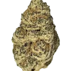 Purple Gas, sert yakıtımsı aroması ve rahatlatıcı etkileriyle bilinen indica baskın bir türdür. Yüksek CBD içeriğiyle öne çıkar. Genetik yapısını keşfedin.