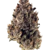 Purple Gelato, benzin kokulu aroması ve THC içeriğiyle öne çıkan indica hibritidir. Derin rahatlama ve zihin yüksekliğini keşfedin. Hemen görüntüleyin.