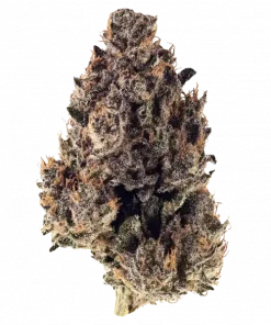 Purple Gelato, benzin kokulu aroması ve THC içeriğiyle öne çıkan indica hibritidir. Derin rahatlama ve zihin yüksekliğini keşfedin. Hemen görüntüleyin.
