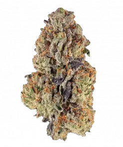 Purple Glue, üzüm aromaları ve yüksek reçine içeriğiyle bilinen indica baskın türdür. Derin rahatlama ve uyku için ideal. Genetik yapısını keşfedin.