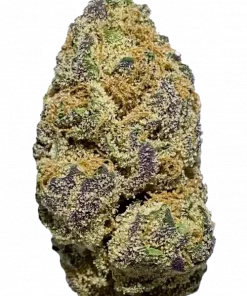 Purple Gorilla, toprak ve böğürtlen aromalı, yüksek verimli Indica baskın bir türdür. Enerjik etkileri ve genetik yapısını keşfedin, hemen görüntüleyin.