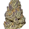 Purple Gushers, üzüm aromalı, yüksek THC'li dengeli bir hibrit türüdür. Mor tonlu tomurcuklarıyla göz kamaştırır. Genetik yapısını ve etkilerini keşfedin.