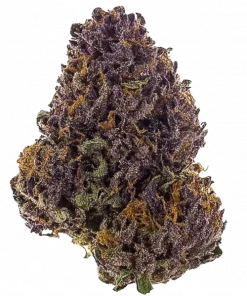 Purple Hash Berries, tatlı çilek ve kiraz aromalarıyla öne çıkan dengeli bir hibrit türdür. Rahatlatıcı etkileriyle stres ve ağrı yönetimine yardımcı olur. Keşfedin.