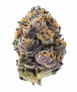 Purple Haze Auto, üzüm aroması ve enerji veren etkisiyle öne çıkan Sativa baskın bir türdür. Otomatik çiçeklenen bu eşsiz türü keşfedin.