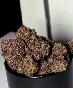 Purple Haze ™ Auto Fem Esrar Tohumu (Fast Buds)