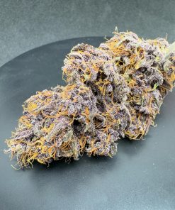 Purple Haze ™ Auto Fem Esrar Tohumu (Fast Buds)