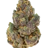 Purple Hindu Kush, kırmızı üzüm aroması ve güçlü rahatlatıcı etkisiyle öne çıkan bir Indica türüdür. Yüksek THC içeriğiyle benzersiz deneyimi keşfedin.