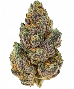 Purple Hindu Kush, kırmızı üzüm aroması ve güçlü rahatlatıcı etkisiyle öne çıkan bir Indica türüdür. Yüksek THC içeriğiyle benzersiz deneyimi keşfedin.