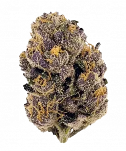 Purple Kush, tatlı meyve aromaları ve güçlü etkisiyle bilinen saf bir Indica türüdür. Ağrı ve uykusuzluğa iyi gelir. Bu eşsiz türü keşfedin.