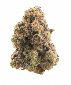 Purple MAC, yakıtımsı ve böğürtlen aromalarıyla öne çıkan dengeli bir hibrit türdür. Anksiyete ve ağrı için ideal. Genetik yapısını keşfedin ve etkilerini görüntüleyin.