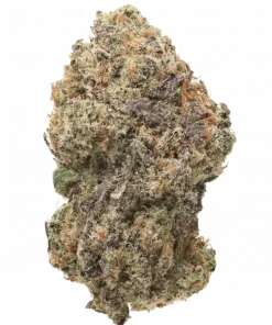 Purple Majik R1, tatlı meyve aromaları ve rahatlatıcı etkileriyle bilinen Indica dominant bir türdür. Stres ve uykusuzluk için ideal. Genetik yapısını keşfedin.