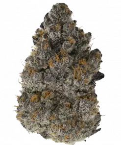 Purple Marmalade, yakıtımsı ve tatlı aromaları ile öne çıkan Sativa baskın bir türdür. Depresyon ve stres için idealdir. Bu eşsiz türü keşfedin.