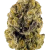 Purple OG Kush, tatlı meyve aromaları ve rahatlatıcı etkileriyle bilinen dengeli bir hibrit türdür. Orta seviyedeki THC içeriğiyle öne çıkar. Özelliklerini keşfedin.