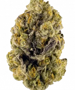 Purple OG Kush, tatlı meyve aromaları ve rahatlatıcı etkileriyle bilinen dengeli bir hibrit türdür. Orta seviyedeki THC içeriğiyle öne çıkar. Özelliklerini keşfedin.