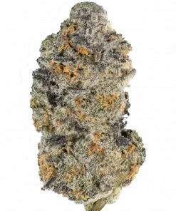 Purple Ombre Cake, tatlı meyve aromaları ve rahatlatıcı etkileriyle bilinen dengeli bir hibrit türdür. Bu eşsiz türün genetik yapısını keşfedin ve görüntüleyin.