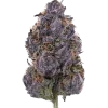 Purple Palm Tree Delight, üzüm aroması ve yüksek THC içeriğiyle öne çıkan dengeli bir hibrit türdür. Spazmlara karşı potansiyel etkilerini keşfedin ve hemen görüntüleyin.