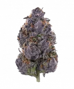 Purple Palm Tree Delight, üzüm aroması ve yüksek THC içeriğiyle öne çıkan dengeli bir hibrit türdür. Spazmlara karşı potansiyel etkilerini keşfedin ve hemen görüntüleyin.