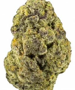 Purple Papaya, tropikal meyve aromaları ve dengeli etkisiyle öne çıkan Indica dominant bir türdür. Uykusuzluk için ideal. Genetik yapısını keşfedin.