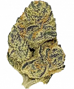 Mor Tutku, üzüm ve böğürtlen aromalı, canlandırıcı etkilere sahip Indica dominant bir türdür. Depresyon ve stresi azaltmaya yardımcı olabilir. Keşfedin.