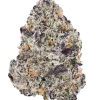 Purple Petro, yakıtımsı aroması ve yüksek THC içeriğiyle öne çıkan indica ağırlıklı hibrit bir türdür. Eşsiz genetik yapısını ve etkilerini keşfedin.