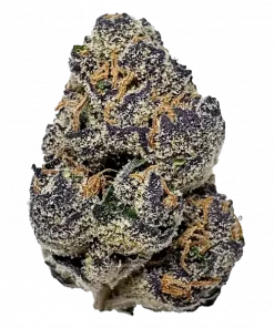 Purple Pineapple Express, tatlı ananas aroması ve rahatlatıcı etkileriyle bilinen indica baskın hibrit türdür. Dengeli genetik yapısını keşfedin ve etkilerini görüntüleyin.
