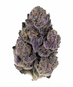 Purple Preserves, ananas aroması ve THC ile öne çıkan Indica dominant bir türdür. Yüksek verimi ve rahatlatıcı etkileriyle keşfedin.