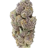 Purple Punch Auto, tatlı ve ekşi elma aromalarıyla öne çıkan Indica baskın bir türdür. Yüksek THC içeriğiyle derin rahatlama sağlar. Özelliklerini keşfedin.