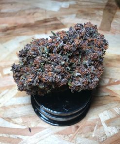 Purple Punch Auto Fem Esrar Tohumu (Fast Buds)