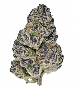 Purple Queen, turunçgil-benzin aromalı, yüksek THC'li bir indica türüdür. Stresi azaltan ve uyku getiren bu türün genetik yapısını keşfedin ve hemen görüntüleyin.
