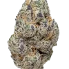 Purple Raine, üzüm ve böğürtlen aromalı, dengeli bir hibrit türdür. THC ile iştah açıcı ve rahatlatıcı etkilere sahiptir. Şimdi keşfedin.