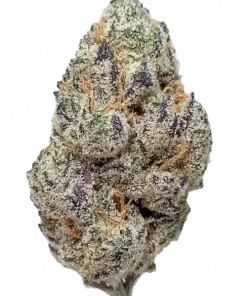 Purple Raine, üzüm ve böğürtlen aromalı, dengeli bir hibrit türdür. THC ile iştah açıcı ve rahatlatıcı etkilere sahiptir. Şimdi keşfedin.