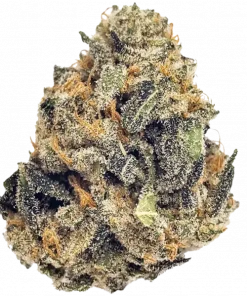 Purple Runtz, tatlı üzüm aroması ve dengeli etkileriyle öne çıkan hibrit bir türdür. Ağrı ve stresi azaltmaya yardımcı olabilir. Özelliklerini keşfedin.