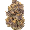 Purple Rush, tatlı ve toprak aromalı, dengeli bir hibrit türdür. THC içeriğiyle rahatlama ve yaratıcılık sunar. Şimdi keşfedin.