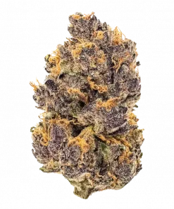 Purple Rush, tatlı ve toprak aromalı, dengeli bir hibrit türdür. THC içeriğiyle rahatlama ve yaratıcılık sunar. Şimdi keşfedin.