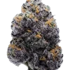Purple Shot, üzüm aromalı ve yüksek THC'li indica dominant türdür. Derin rahatlama ve reçineli yapısıyla öne çıkar. Özelliklerini keşfedin.