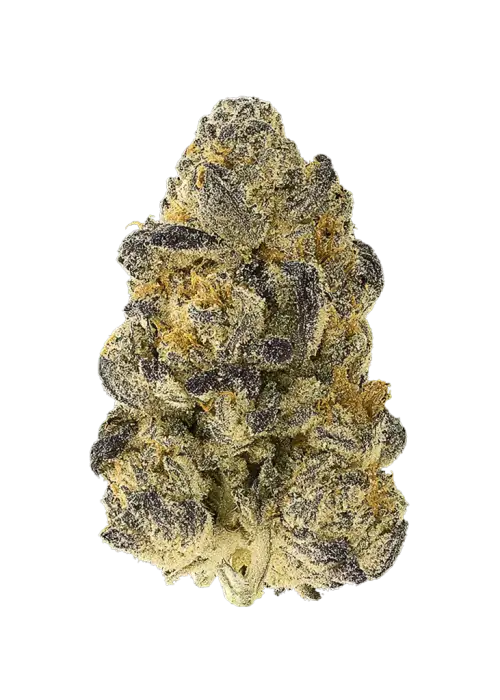 Purple Soda x Coffin Candy, tatlı meyve aromaları ve yüksek THC içeriğiyle bilinen güçlü bir Indica türüdür. Derin rahatlama için ideal. Özelliklerini keşfedin.