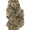 Purple Sour Tangie, sert narenciye aroması ve yüksek THC içeriğiyle bilinen dengeli bir hibrit türdür. Stres ve yorgunluğa iyi gelir. Özelliklerini keşfedin.