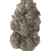 Purple Thai, çikolata aromaları ve yüksek THC içeriğiyle bilinen Sativa baskın bir türdür. Enerjik etkilerini ve genetik yapısını keşfedin.