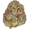 Purple Urkle, sert orman meyveleri aroması ve güçlü Indica etkileriyle bilinen bir türdür. Uyku sorunları için ideal. Genetik yapısını keşfedin.