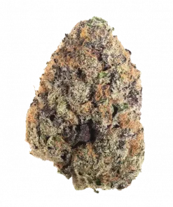 Purple Z, orman meyvesi aromaları ve dengeli etkisiyle öne çıkan Indica dominant bir türdür. Yüksek verimi ve benzersiz lezzet profilini keşfedin.