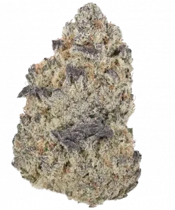 Purple Zkittlez RBX, tatlı meyve aroması ve yüksek THC içeriğiyle bilinen bir türdür. Stres ve kaygı için idealdir. Şimdi keşfedin.