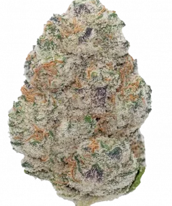 Push Pop, tatlı vanilya aroması ve 'e varan THC içeriğiyle öne çıkan dengeli bir hibrit türdür. Bu eşsiz deneyimi keşfedin ve etkilerini görüntüleyin.