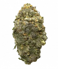 Queen of Diamonds, yakıtımsı aroması ve yüksek THC içeriğiyle bilinen baskın bir indica türüdür. Derin rahatlama ve uyku için ideal. Genetik yapısını keşfedin.