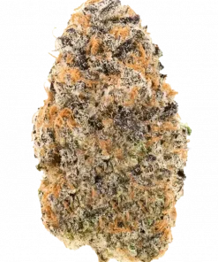 Querkle, üzüm aroması ve yüksek THC içeriğiyle bilinen Indica dominant bir türdür. Rahatlatıcı etkileriyle öne çıkar. Genetik yapısını keşfedin ve görüntüleyin.