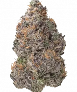 Radical Juice, tropikal meyve aromaları ve rahatlatıcı etkileriyle bilinen Indica dominant bir türdür. İştah ve stresi azaltmaya yardımcı olabilir. Özelliklerini keşfedin.