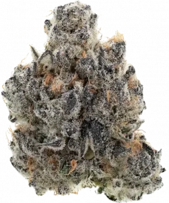 Rah Tah Tah, ahududu aromaları ve yüksek THC içeriğiyle öne çıkan indica baskın bir türdür. Dengeli etkilerini ve genetik yapısını keşfedin.